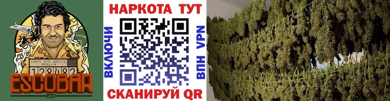 Что такое Трубчевск Конопля  ОМГ ОМГ зеркало  ГАШ  Меф  A PVP 